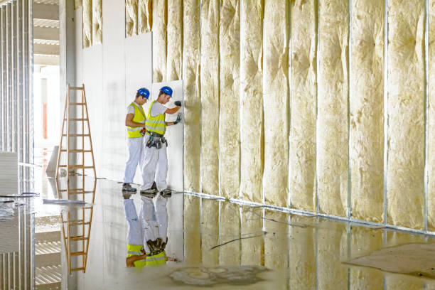 Best Commercial Insulation in Berino, NM
